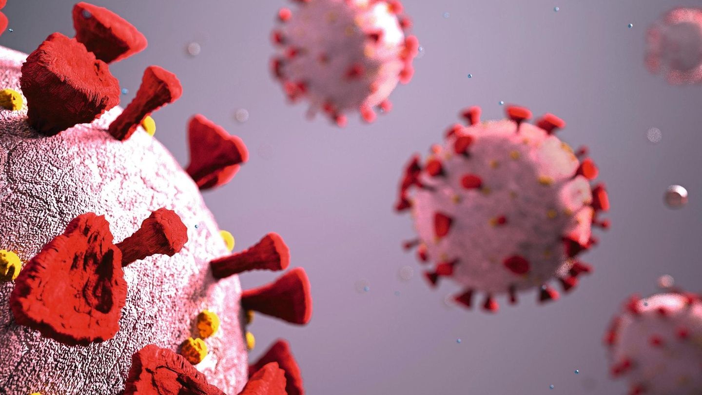 3D-Modell des Corona-Virus