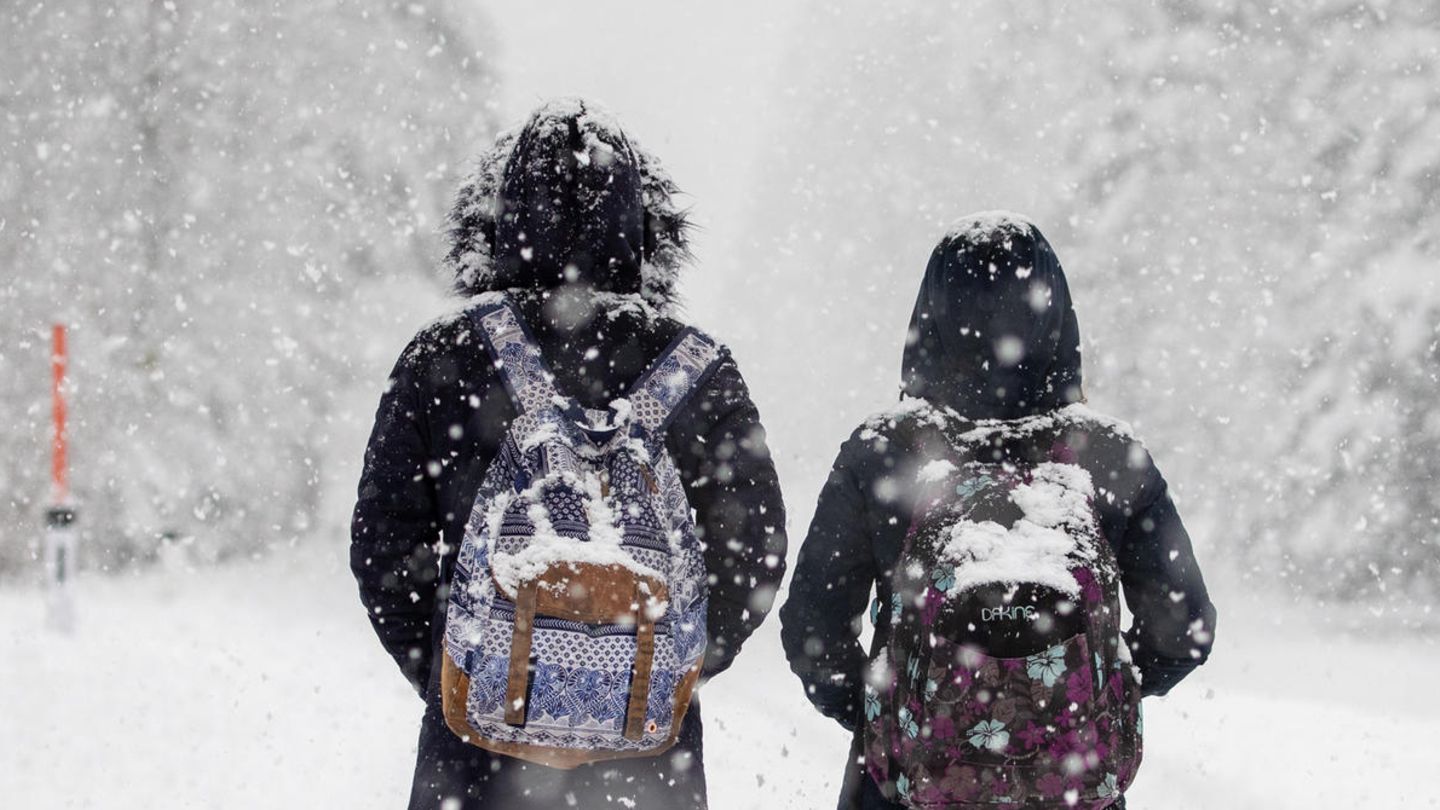 Zwei Kinder gehen eine verschneite Straße entlang. Es schneit und sie sind von hinten zu sehen