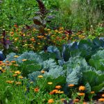 Gesunde, automatisierte Gärten